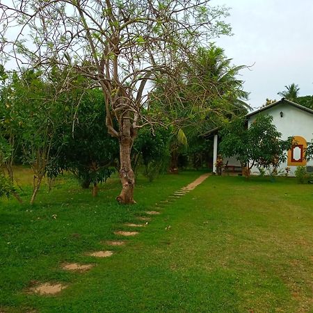 Hideaway Homestay 하바라나 외부 사진