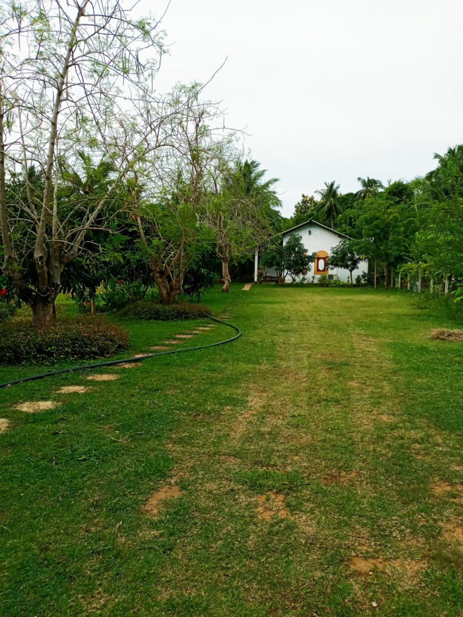 Hideaway Homestay 하바라나 외부 사진