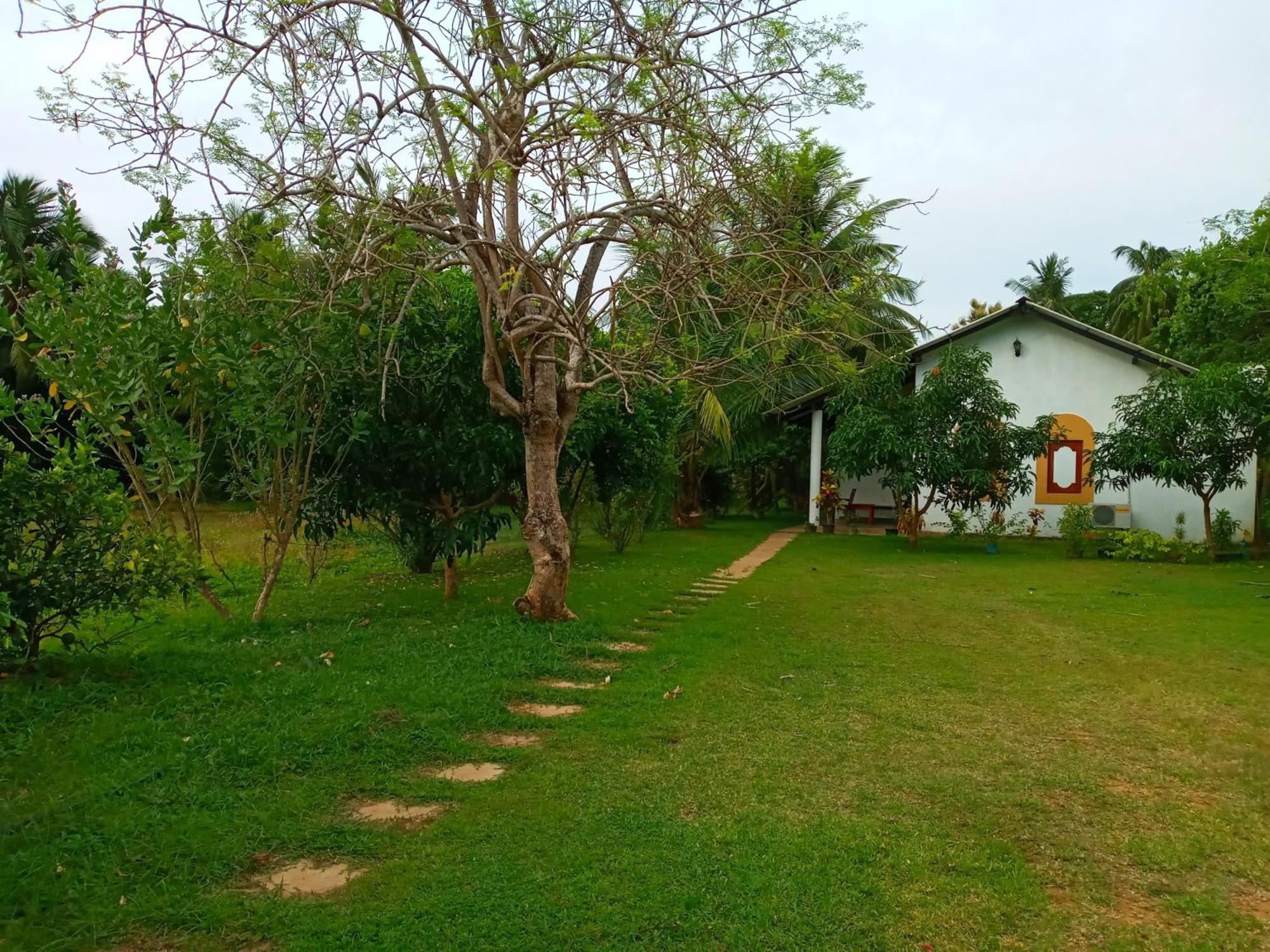 Hideaway Homestay 하바라나 외부 사진