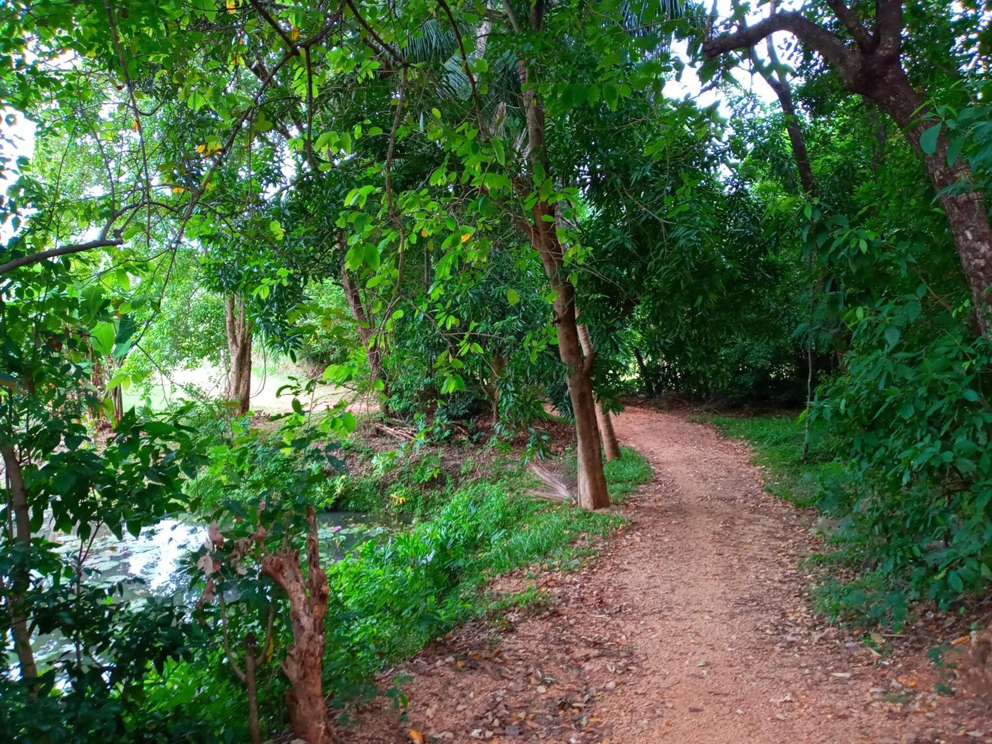 Hideaway Homestay 하바라나 외부 사진